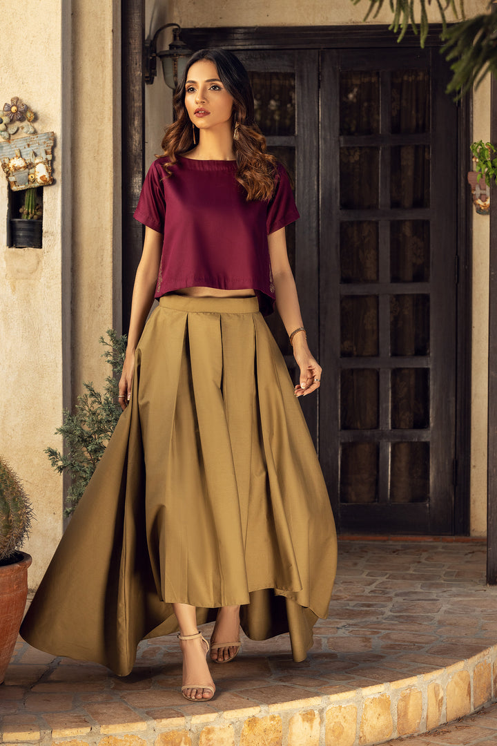 Plum Embroidered Top and Khaaki Skirt Front