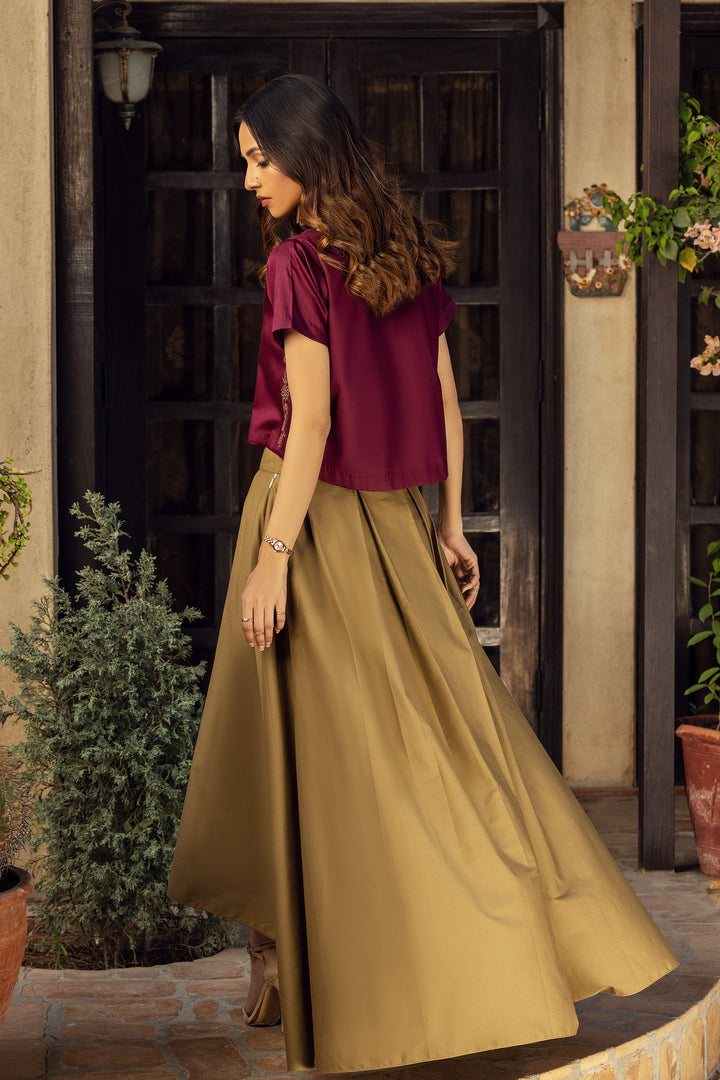 Plum Embroidered Top and Khaaki Skirt Back
